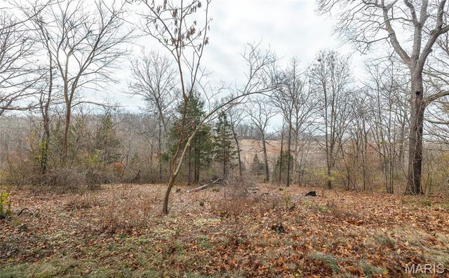 450 Hillcrest Drive, Bourbon, MO 65441