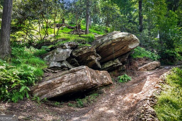 40 Varix Court, Ellijay, GA 30540