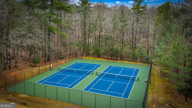40 Varix Court, Ellijay, GA 30540