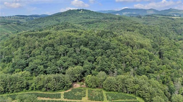 501 Dale Woodie Road, Laurel Springs, NC 28644