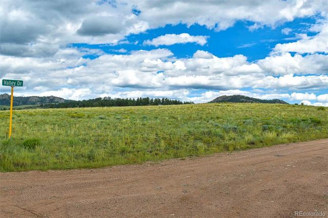 4782 County Road 71, Guffey, CO 80820