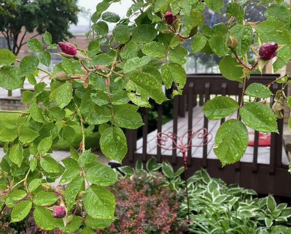 4376 S Adams AVENUE, Milwaukee, WI 53207