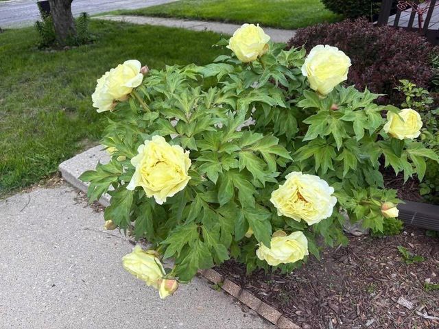 4376 S Adams AVENUE, Milwaukee, WI 53207