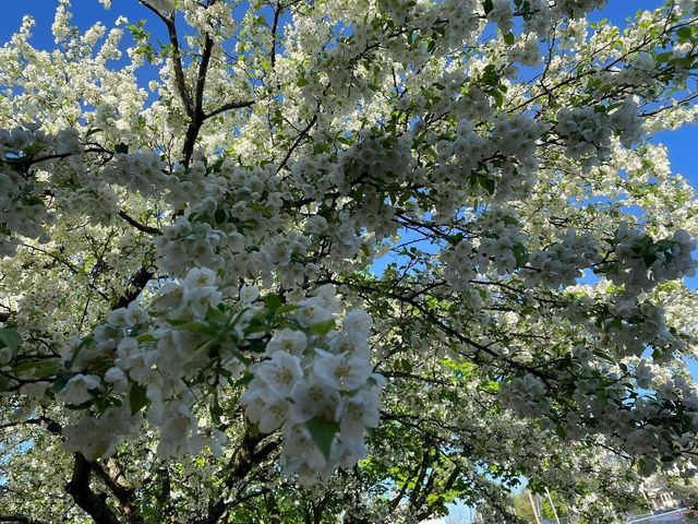 4376 S Adams AVENUE, Milwaukee, WI 53207