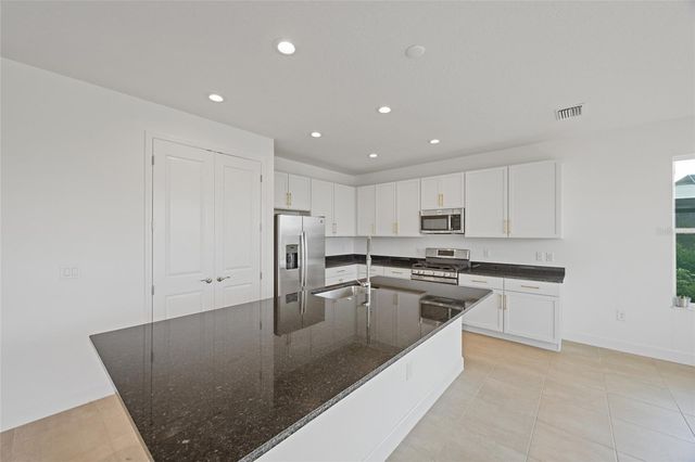 32684 TAMARIND GROVE LANE, Wesley Chapel, FL 33543