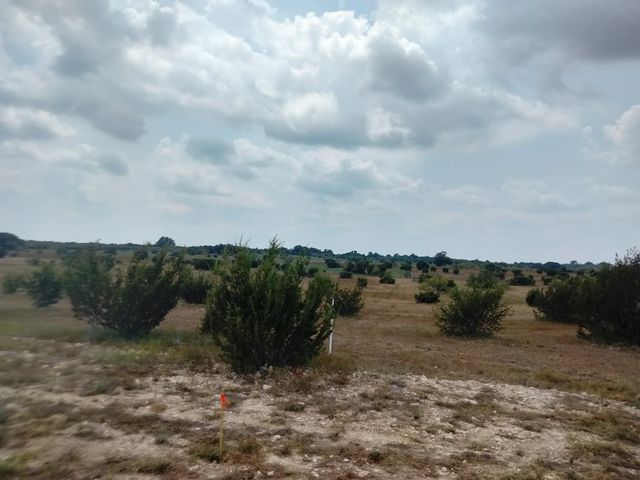 514 Hollow Drive, Lipan, TX 76433