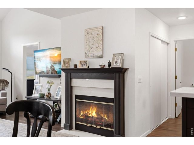 1515 Raven Ct H, Estes Park, CO 80517