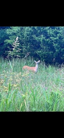 2112 Benjamin Creek Drive, Little Elm, TX 75068