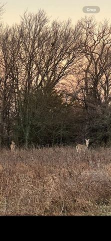 2112 Benjamin Creek Drive, Little Elm, TX 75068