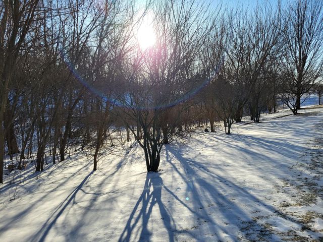 1967 Sierra Drive 303, Hastings, MN 55033