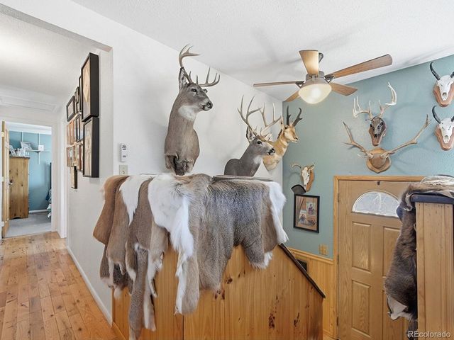 399 Conifer Dr, Bailey, CO 80421
