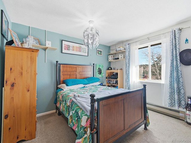 399 Conifer Dr, Bailey, CO 80421