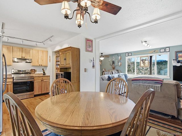 399 Conifer Dr, Bailey, CO 80421
