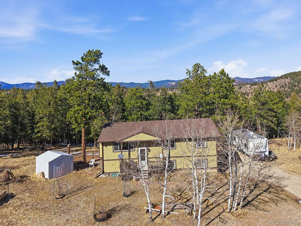 399 Conifer Dr, Bailey, CO 80421
