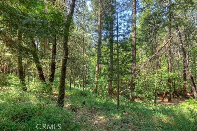 14533 Grinnell Court, Magalia, CA 95954