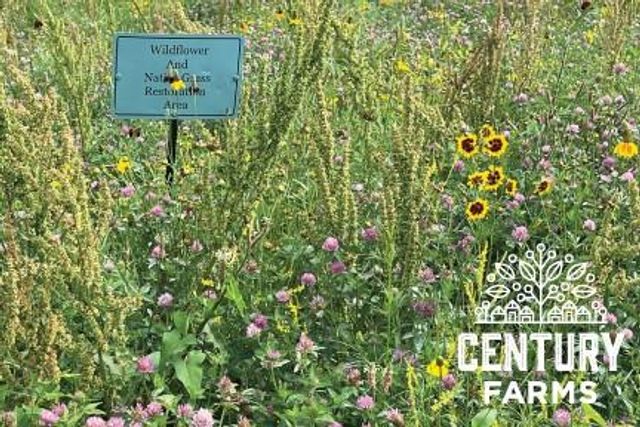 16932 Parkhill Street, Overland Park, KS 66221