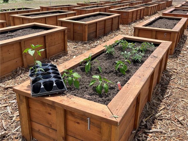 16932 Parkhill Street, Overland Park, KS 66221