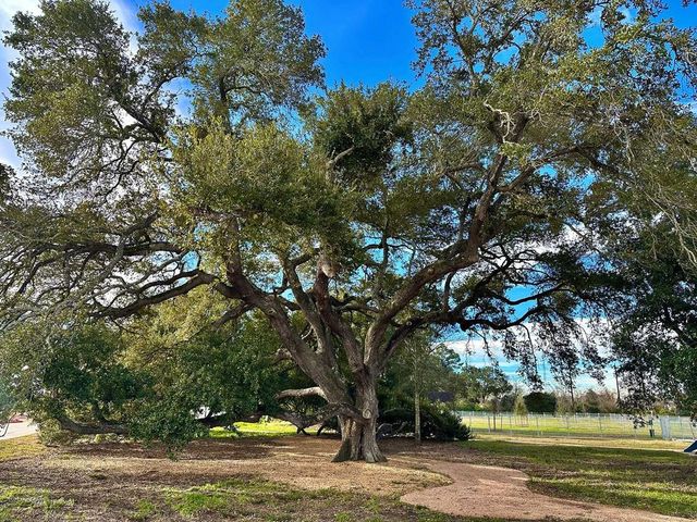 2519 Sorrento Street, Manvel, TX 77578