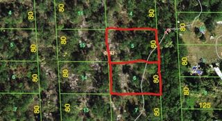 239 & 245 SAWFISH LANE, Punta Gorda, FL 33982