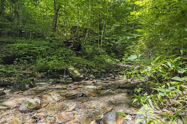 365 Johnny Morton Hollow Road, Stanton, KY 40380