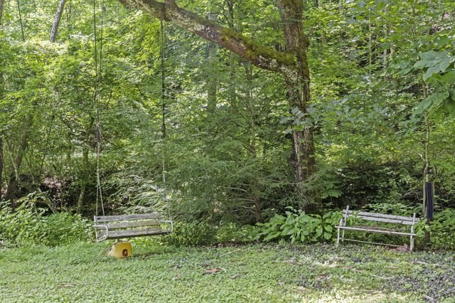 365 Johnny Morton Hollow Road, Stanton, KY 40380