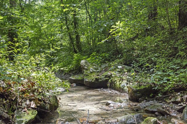 365 Johnny Morton Hollow Road, Stanton, KY 40380