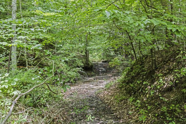 365 Johnny Morton Hollow Road, Stanton, KY 40380
