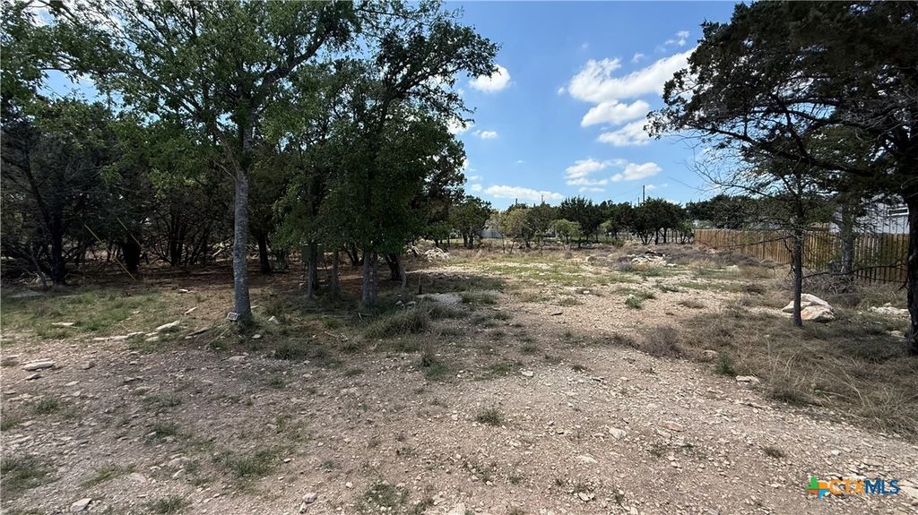 1024 Greenbriar Drive, Canyon Lake, TX 78133