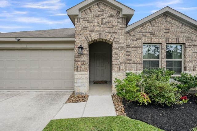 11719 Bari Reef Lane, Conroe, TX 77304