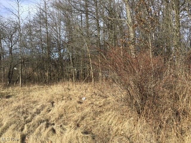 State Road, Warren, OH 44481