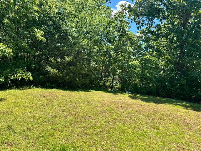 429 Pine Cone Lane, Mammoth Spring, AR 72554