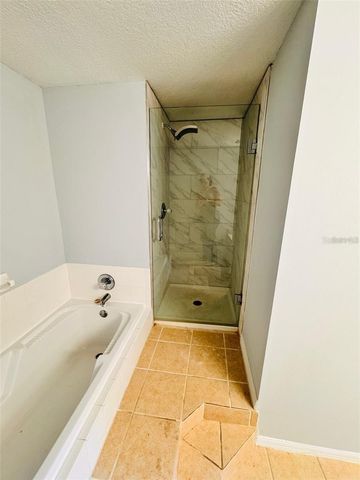 722 WASHINGTON PALM LOOP, Davenport, FL 33897