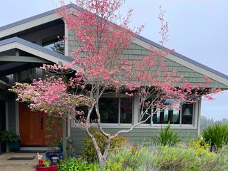 1584 Tindall Ranch Road, Corralitos (watsonville), CA 95076