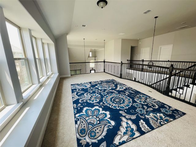 305 Cypress Hill Drive, Little Elm, TX 75068