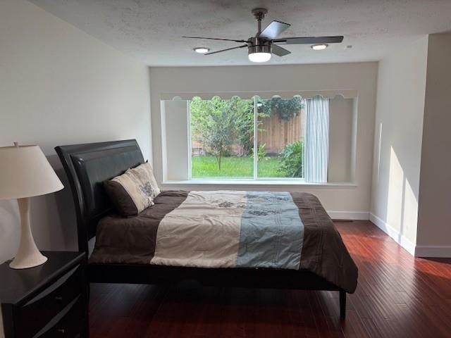 2210 Pomeran Drive, Houston, TX 77080