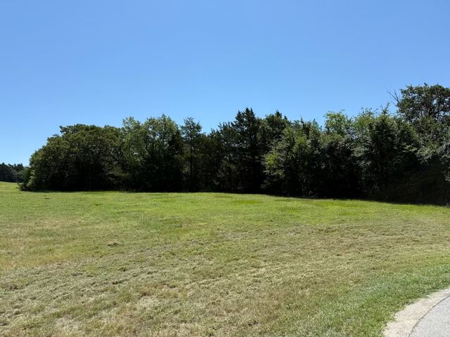 44 Dublin Court, Gordonville, TX 76245