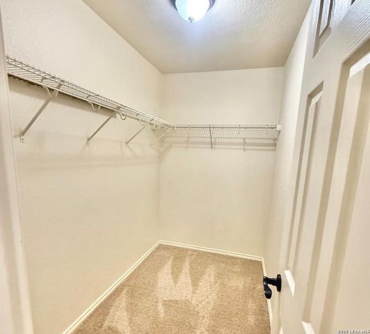8810 Canvas Back, San Antonio, TX 78245