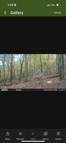 16313 Hamstring Road, Fayetteville, AR 72704