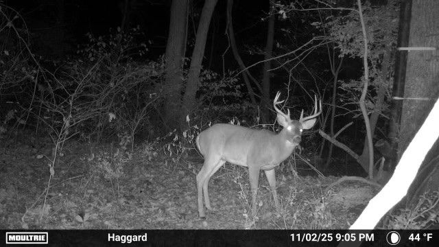 16313 Hamstring Road, Fayetteville, AR 72704