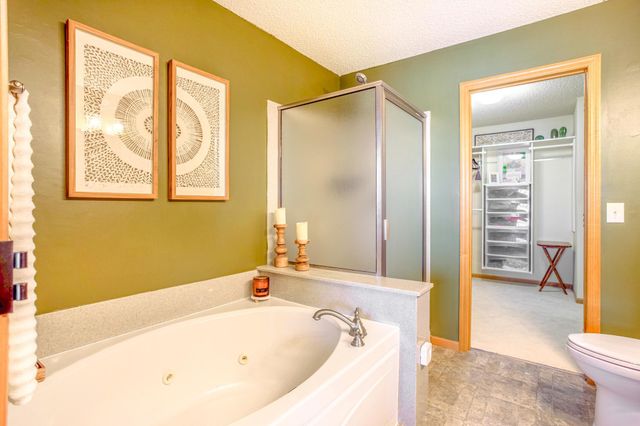 11031 Goodhue Street NE D, Blaine, MN 55449