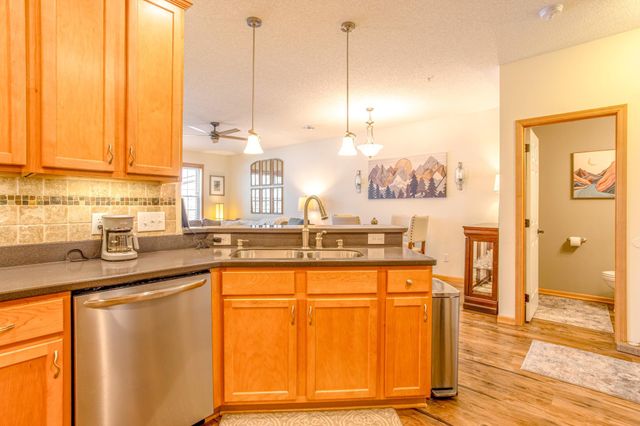 11031 Goodhue Street NE D, Blaine, MN 55449