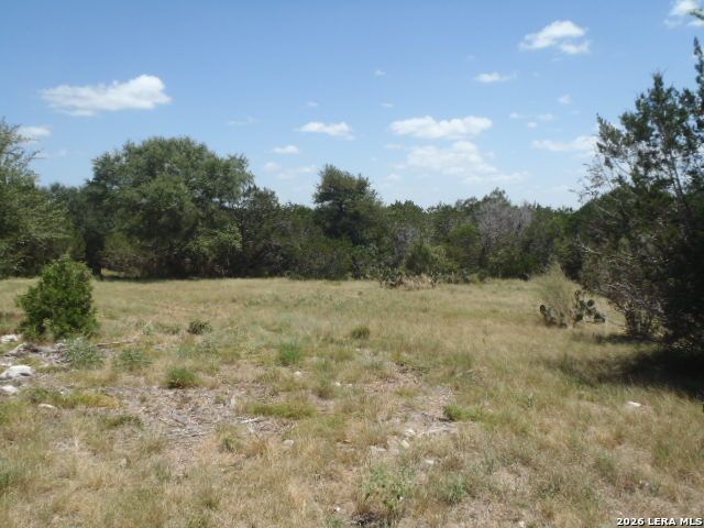 650 SHADY HOLW, New Braunfels, TX 78132