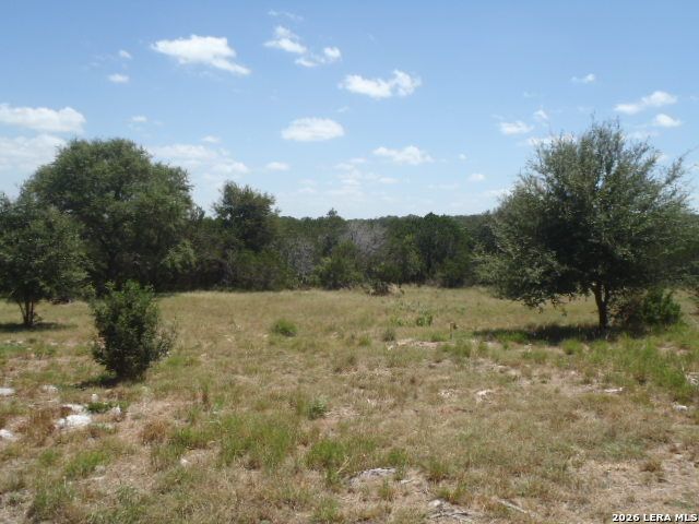 650 SHADY HOLW, New Braunfels, TX 78132