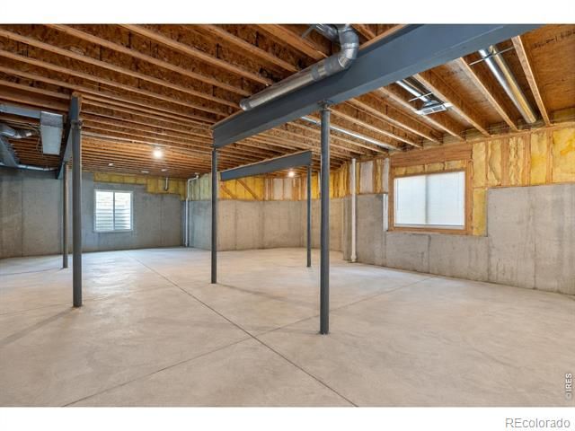 1591 Landon Court, Windsor, CO 80550