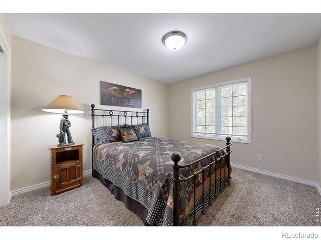 1591 Landon Court, Windsor, CO 80550