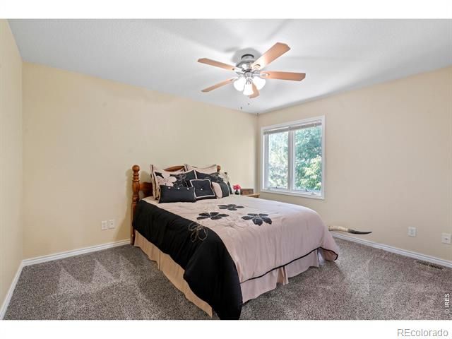 1591 Landon Court, Windsor, CO 80550