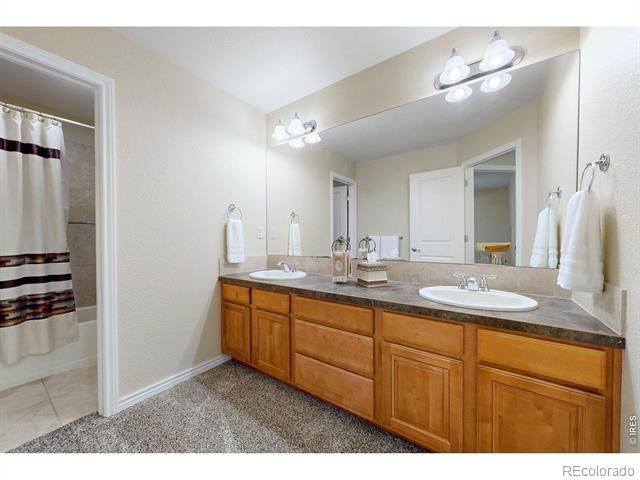 1591 Landon Court, Windsor, CO 80550