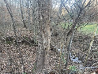 16 Autumn Trail, Dover, TN 37058