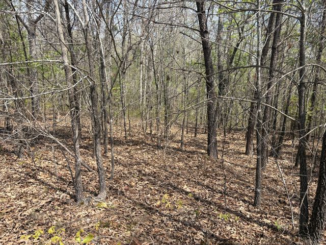 0 Mill Ave, Hohenwald, TN 38462
