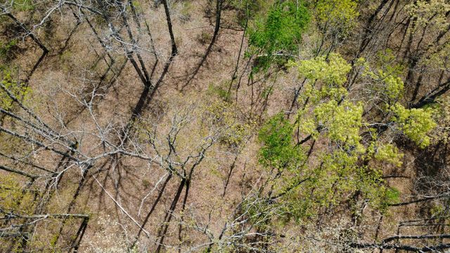 0 Mill Ave, Hohenwald, TN 38462